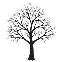 Obraz premium Stylized Black Bare Tree Silhouette Illustration on White Background