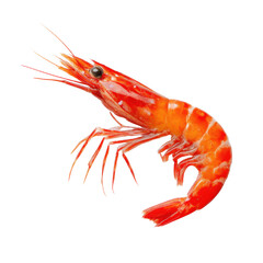 Delicious raw shrimp ready to be cooked isolated on transparent background