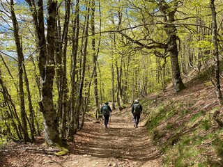 Cammino di Santiago - Pirenei (Roncisvalle)