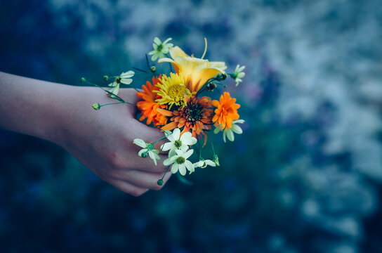 hand with flowers, colorful image