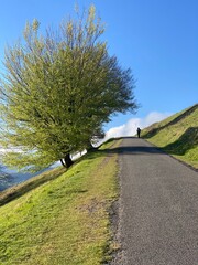Cammino di Santiago - Pirenei (Roncisvalle)
