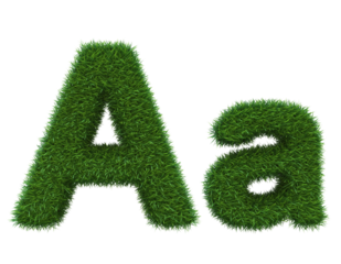 Natural alphabet letter A in uppercase and lowercase crafted from green garden lawn grass
