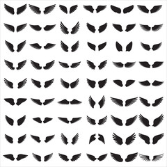 Fototapeta premium Massive Wings Silhouette Bundle with Angel and Bird Wing Styles