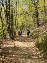 Cammino di Santiago - Pirenei (Roncisvalle)