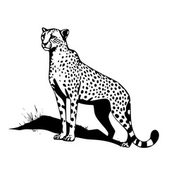 Fototapeta premium A black and white vector illustration of a cheetah standing on a grassy hill on transparent background