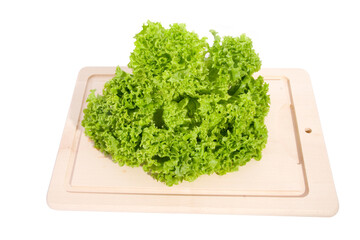 Fototapeta premium Lettuce
