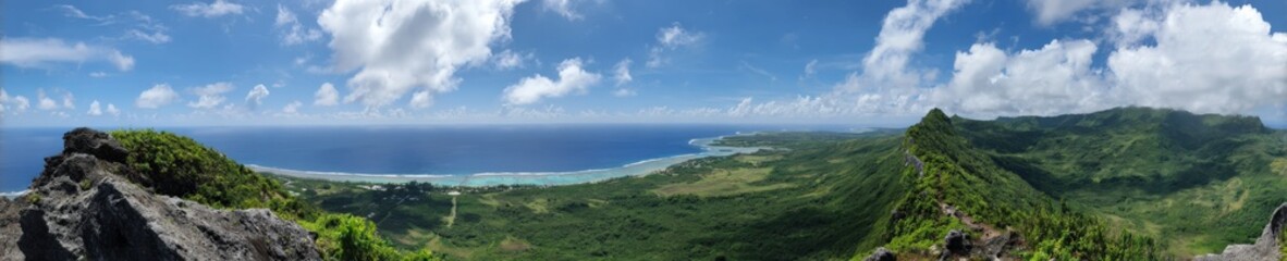 Panoramic view of lush greenery and ocean from mountain peak