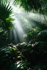 Naklejka premium Sunlight filtering through dense tropical jungle canopy with lush green foliage