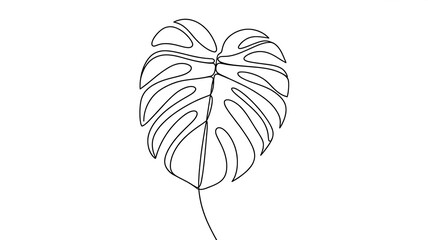 Symmetrical Monstera Leaf One Line Drawing Minimal Botanical Illustration