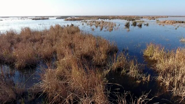 Aerial view of Nile River Delta wetlands showing reeds aquatic plants lakes at sunrise morning. Peaceful wetland landscape highlights delta lakes marsh vegetation and Nile Delta Plain.