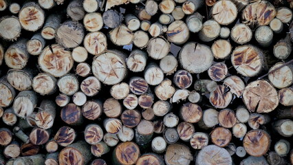 geschichtete Rundh&ouml;lzer