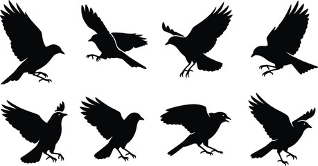 Obraz premium Silhouette of birds in flight and perched positions various angles