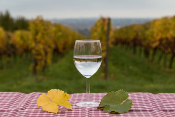 Glasses with dry Riesling white wine from the Rheingau region in the background vineyards in Germany.