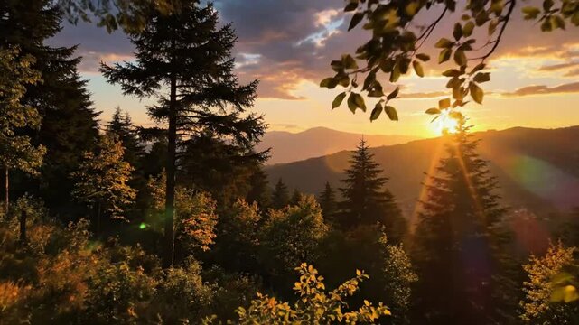 Scenic sunset view through the trees with golden light illuminating a distant mountain range and dramatic clouds