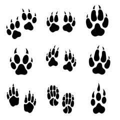 Fototapeta premium Diverse animal paw prints showcasing wildlife tracking, perfect for educational materials, nature guides, or conservation efforts, originally scalable vector graphic