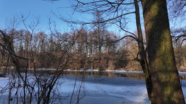 Winter and snow on the small Grabia River, Poland.