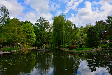 ogr&oacute;d japoński kwitnące r&oacute;żaneczniki i azalie, ogr&oacute;d japoński nad wodą, japanese garden blooming rhododendrons and azaleas, Rhododendron, designer garden