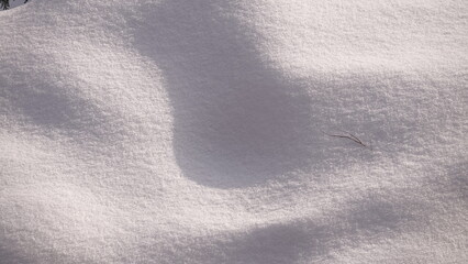 Biała, gruba pokrywa śnieżna pokrywająca całe zdjęcie z widocznymi naturalnymi wgłębieniami i górkami © tomo81