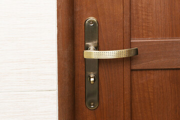 Wooden door handle closeup. Brown interior door detail. Metal handle on wooden surface. Home entrance hardware design. Simple residential door texture. Minimal interior architecture background..
