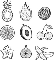 Halved Fruit Line Icons Set in Simple Black Vector Style