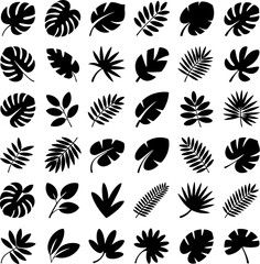 Exotic Tropical Leaves Icons Collection Monochrome Nature Symbols