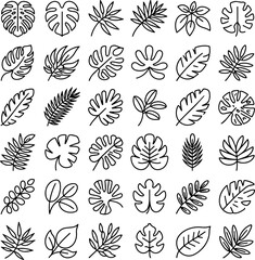 Exotic Tropical Leaves Icons Collection Monochrome Nature Symbols