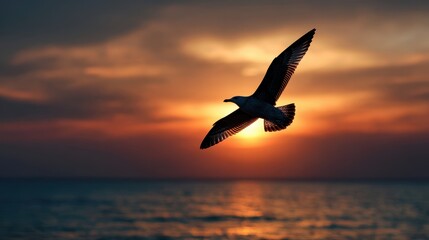 An uplifting silhouette of a bird soaring over a vibrant ocean sunset