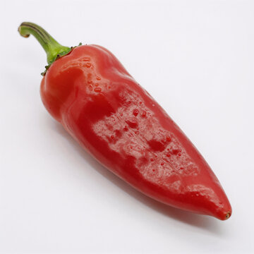 Red chili pepper isolated on a white background