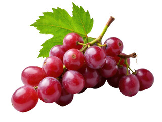 Obraz premium A bunch of red grapes surrounded by green leaves