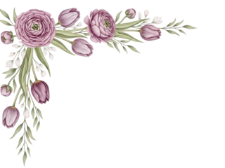 Hand painted luxury floral corner border with tulips and ranunculus in a soft mauve color scheme isolated on white background