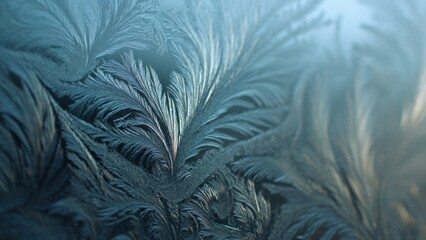 Frozen glass: frost patterns on a winter window