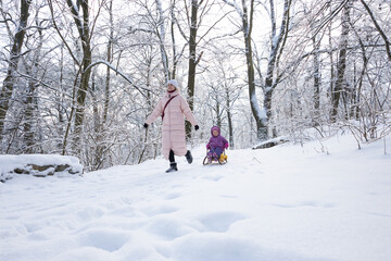 Close up of excited toddler girl in purple snowsuit sitting on sled in winter forest