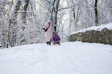 Back view of mother and child walking away on snowy path in winter forest with sled