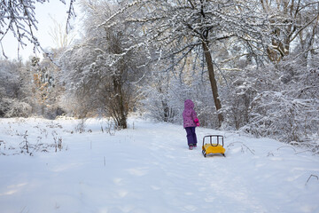 Little girl in purple winter suit standing with yellow sled on path in deep snow forest