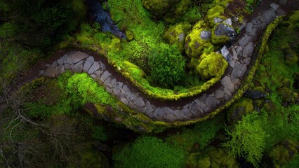 Stone path winding through green mossy forest
