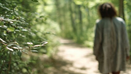 Person walking away on a forest path
