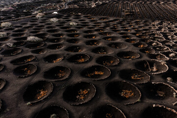 Aerial view of La Geria on Lanzarote shows circular hollows in black lapilli with stone walls, sparse vines, farm tracks, small buildings, and Timanfaya in warm low light.