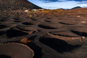 Hundreds of circular zocos in black ash surround vines near Timanfaya. Whitewashed buildings sit below dark slopes and lava cones in soft early or late light. © Aerial Film Studio