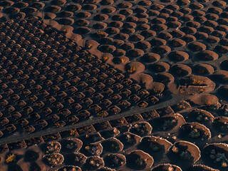 Obraz premium Aerial view of La Geria on Lanzarote, Canary Islands, showing circular zocos in black volcanic ash, Malvasia vines, late afternoon light, and Timanfaya lava soils.
