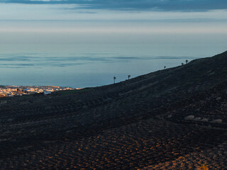 Dark volcanic ash fields with circular zocos slope toward Lanzarote's coast, while whitewashed buildings and palm trees catch golden light near sunrise or sunset. © Aerial Film Studio
