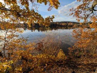 View through tree branches with colorful autumn leaves overlooking calm lake surface, creating peaceful outdoor nature scene with seasonal atmosphere and quiet reflection.
