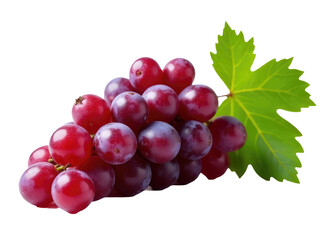 Fototapeta premium A close-up shot of a cluster of grapes with a leaf, set against a clean white background