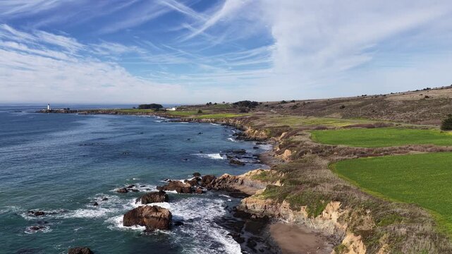 Ano Nuevo during a winder morning