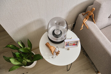 Modern interior featuring wooden hand, mannequin, and snake plant