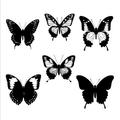 Obraz premium create 5 Minimalist butterfly silhouette SVG in black and white with transparent background each butterfly style and desging should be different and all shoul