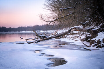 Zimowy krajobraz - Rzeka z zamarzniętym brzegiem i powalonym drzewem o zmierzchu © nitka_zaplatana