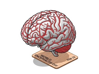 Medical Visualization Reveals Complex Vascular Network in Brain Anatomy