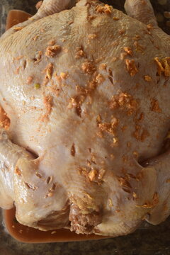 Peito de frango Chester inteiro temperado com molho avermelhado, preparo da carne crua com colorau, sal e cebola