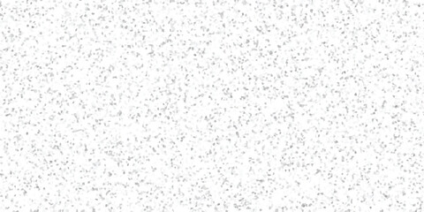 Obraz premium Abstract speckled texture with a dense scattering of tiny grey and white irregular geometric fragments forming a subtle granular background