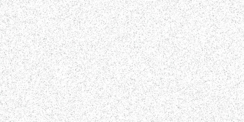 Fototapeta premium Fine Grain Gray and White Speckled Texture Background for Abstract Digital Art and Subtle Design Overlays